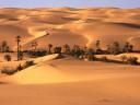 oasis-o-desierto.jpg