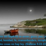 294626_464213743613531_1926679602_n