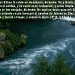 557711_492975527404019_1005653220_n