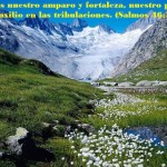 67801_507702072598031_361671301_n