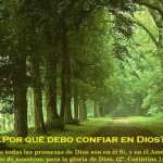 1017282_602796279755276_1355384271_n