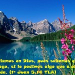 575213_498242730210632_1490157391_n