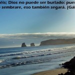 1185177_630394343662136_387096067_n