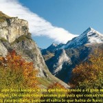 1454577_691462610888642_171229617_n