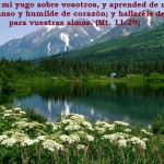 10246485_754574164577486_2765758460980355244_n