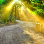 vivir-en-luz