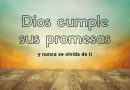 Promesas a Dios