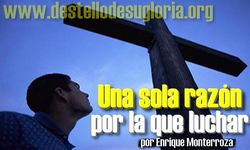 Una sola razón por la que luchar-2